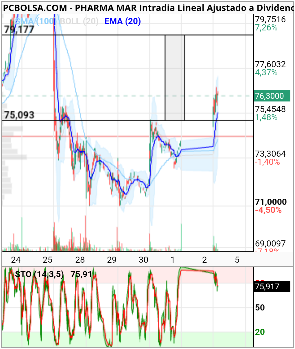 grafico de la accion ,.