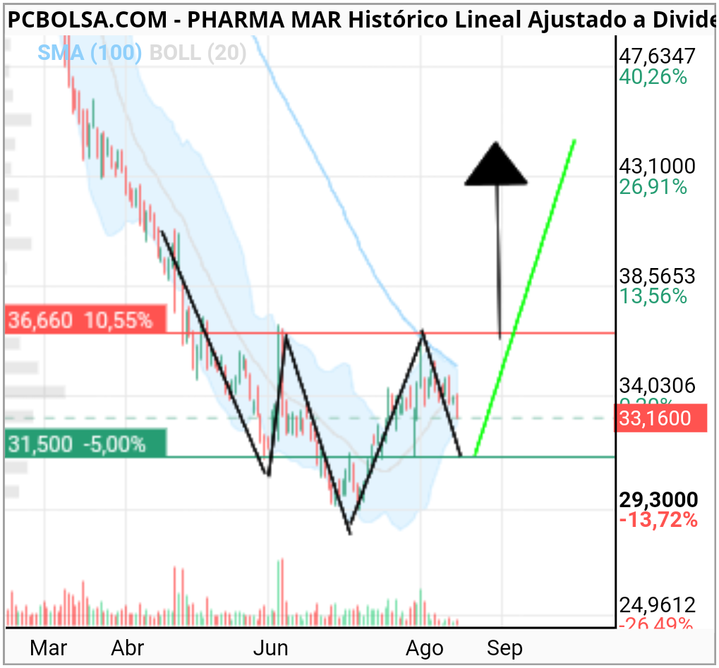 grafico de la accion we2020bo