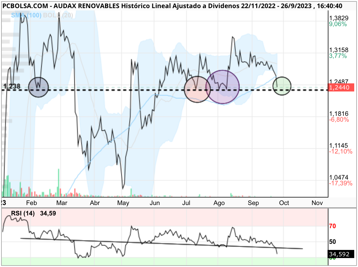 grafico de la accion Audax Renovables