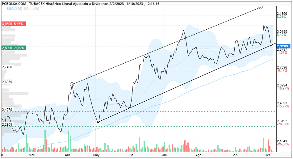 grafico de la accion berb