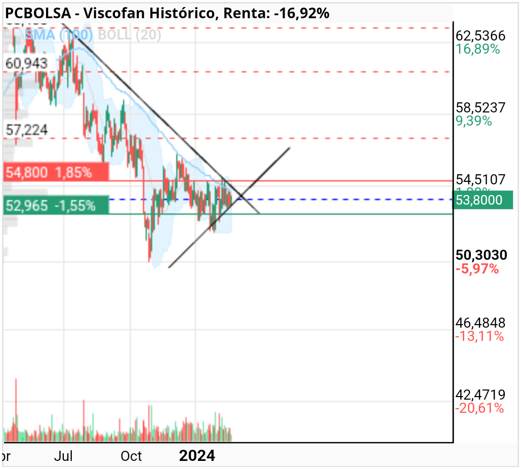 grafico de la accion Viscofan