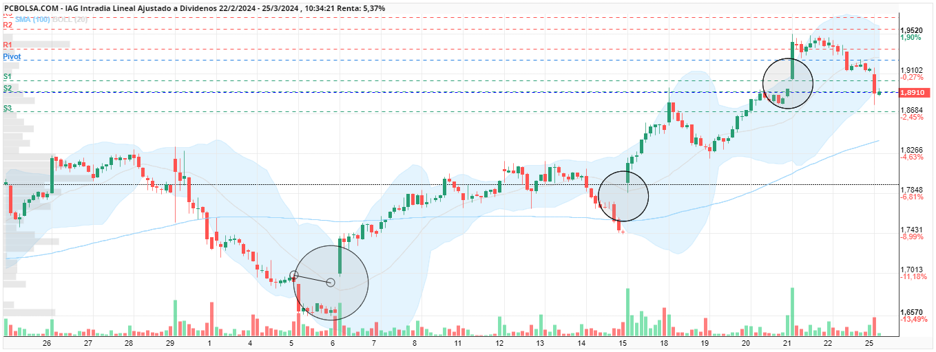 grafico de la accion berb