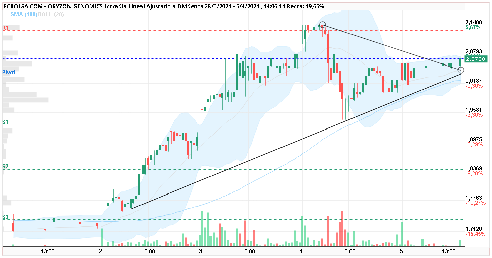 grafico de la accion viscuter