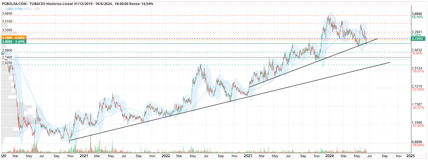 grafico de la accion amcm