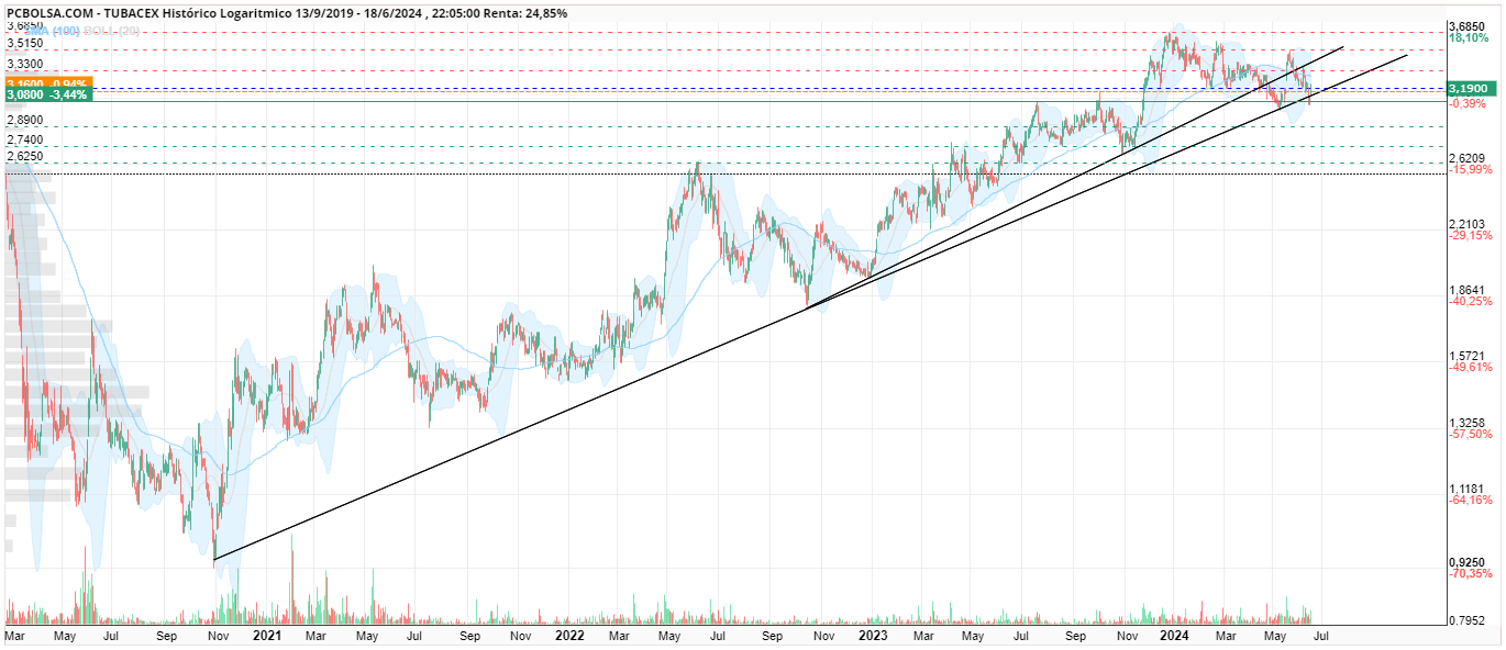 grafico de la accion amcm