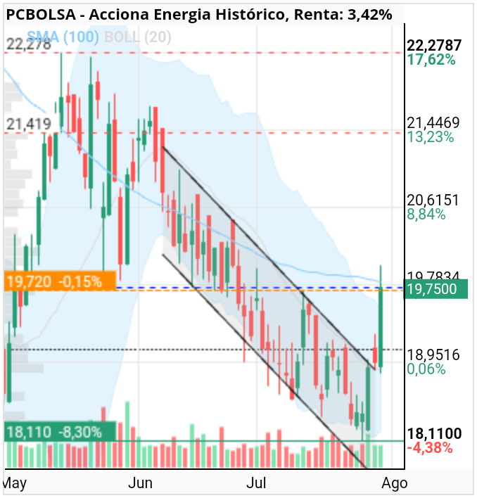 grafico de la accion cojo