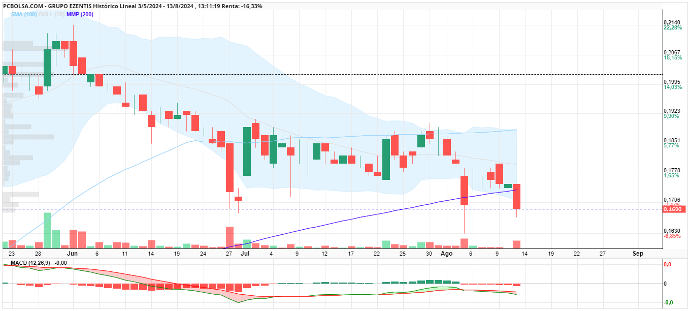grafico de la accion woland