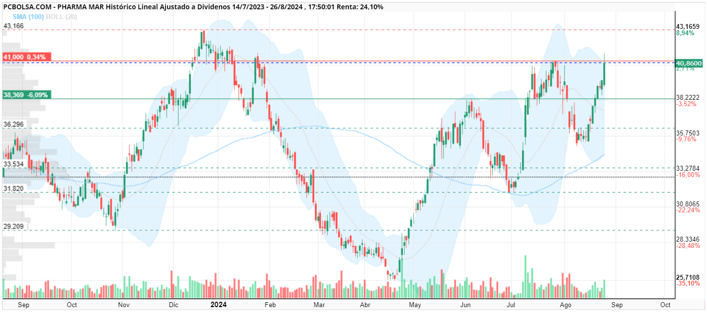 grafico de la accion rober74