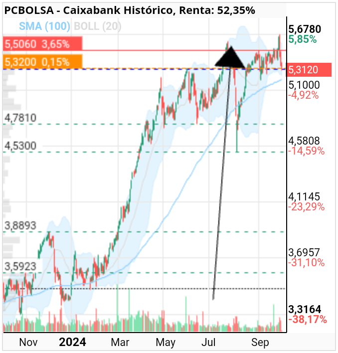 grafico de la accion cojo