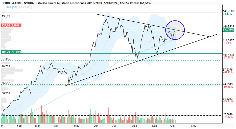 grafico de la accion NVIDIA