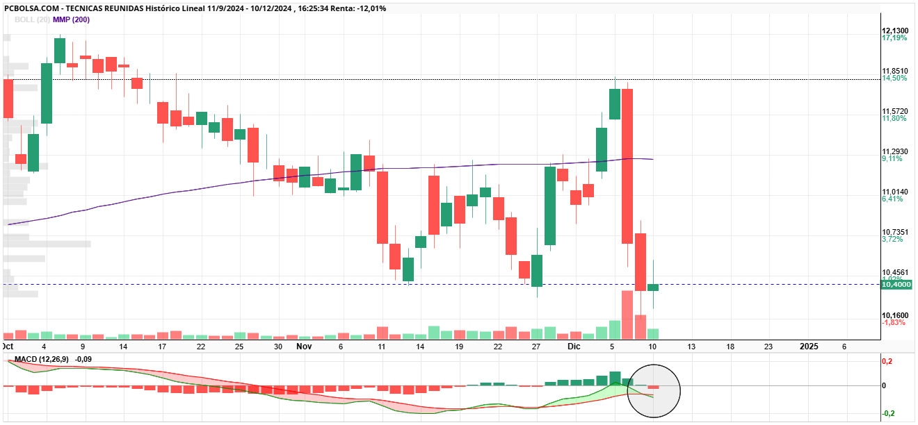 grafico de la accion woland