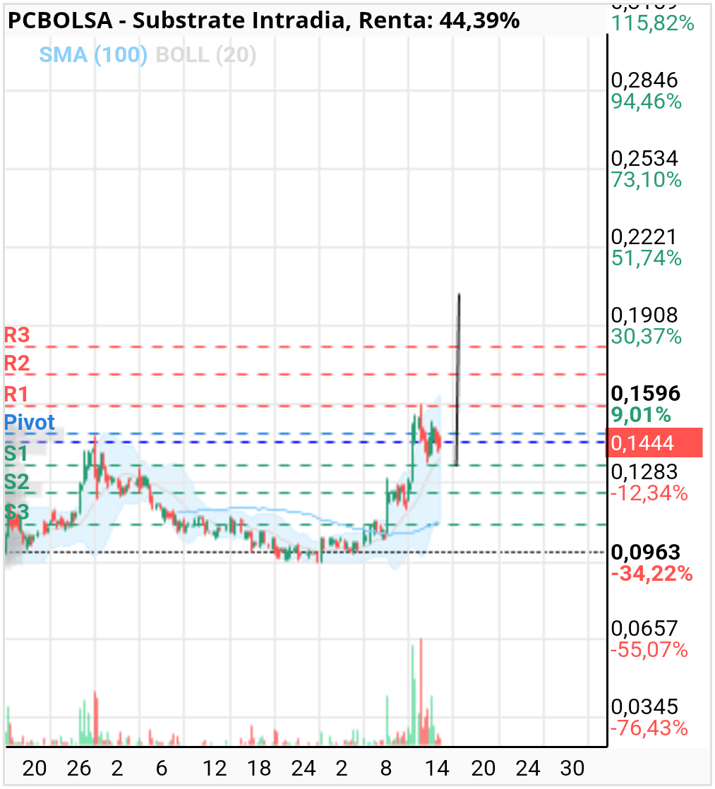 grafico de la accion pituspas