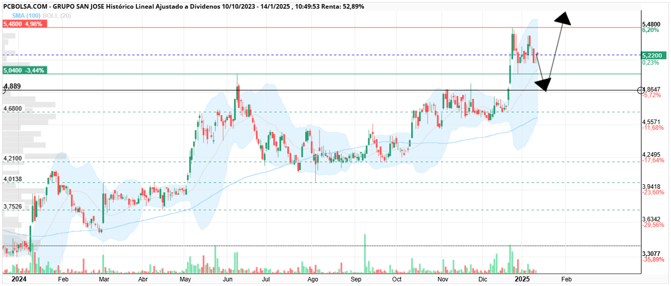 grafico de la accion monin
