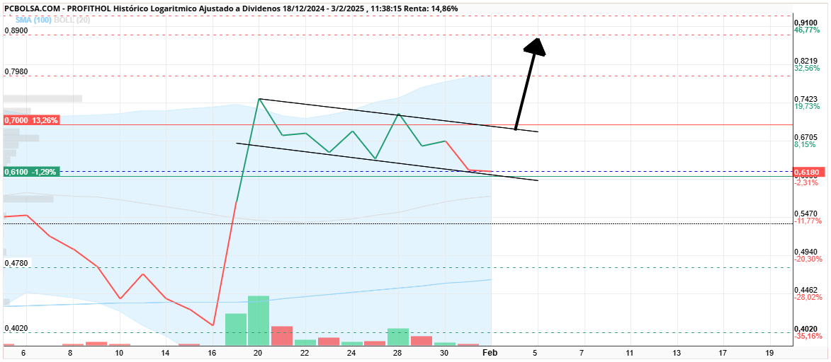 grafico de la accion Profithol
