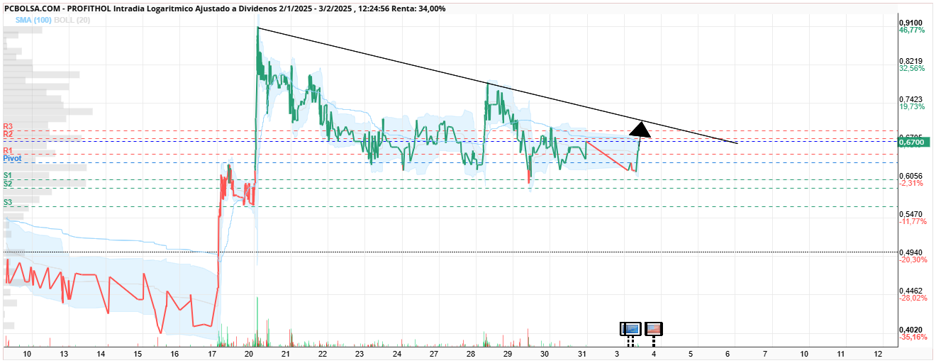 grafico de la accion Profithol