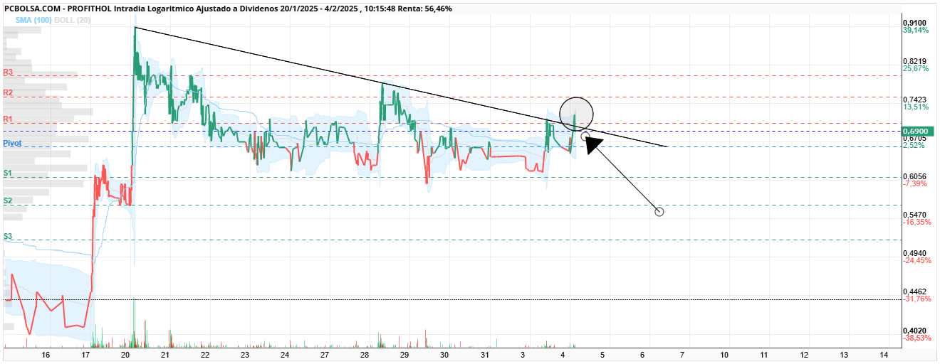 grafico de la accion Profithol