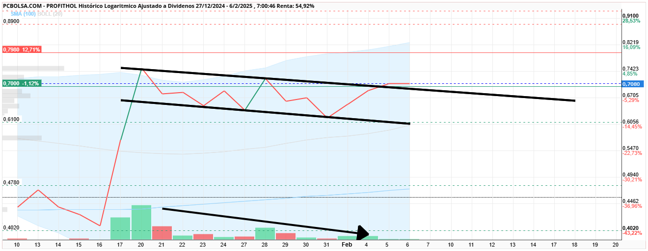 grafico de la accion Profithol