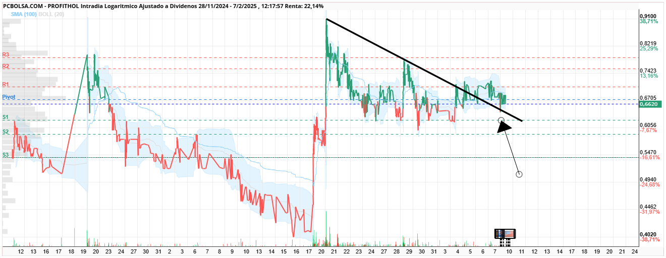 grafico de la accion Profithol