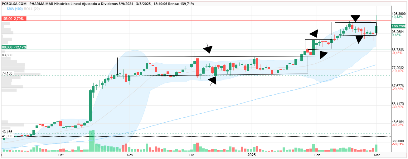 grafico de la accion silvertravel