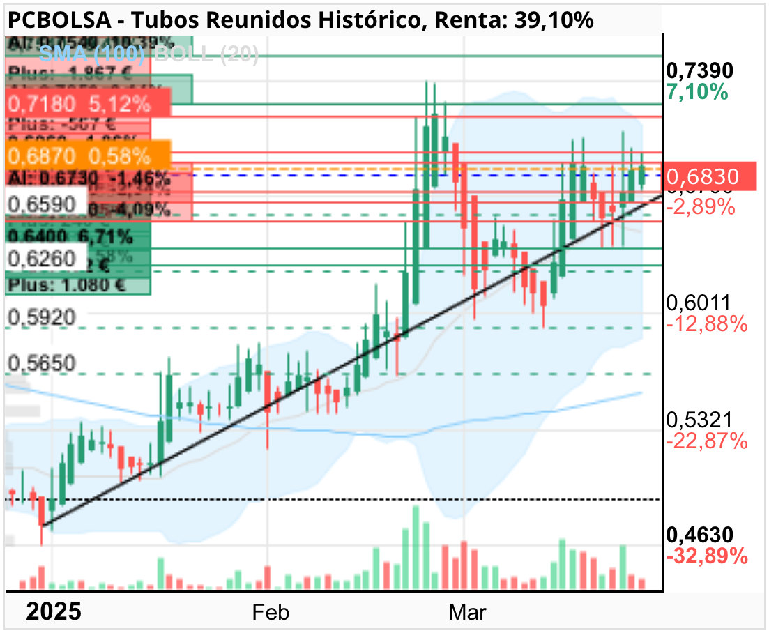 grafico de la accion top1987