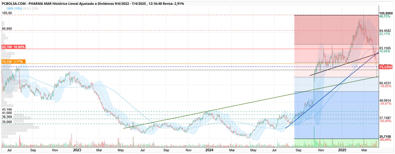 grafico de la accion tonmis