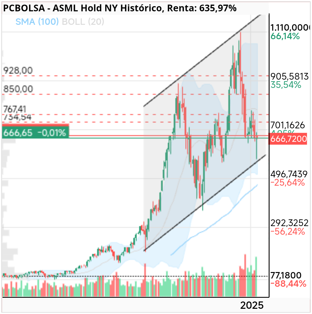 grafico de la accion ASML Hold NY