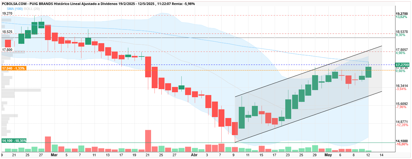 grafico de la accion jelins