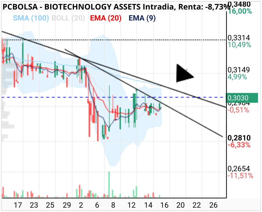 grafico de la accion BIOTECHNOLOGY ASSETS