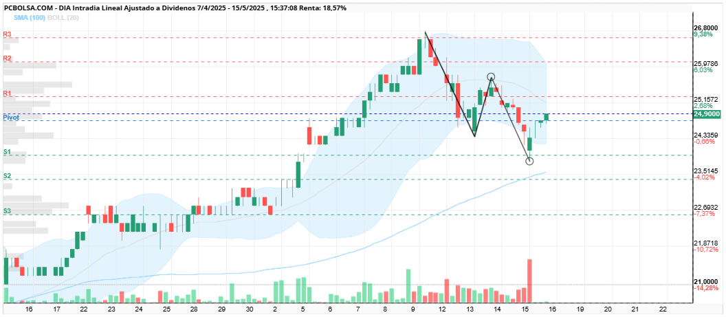 grafico de la accion monin