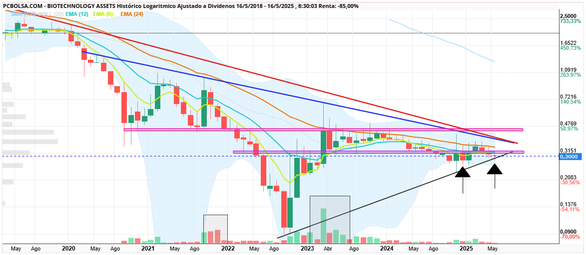 grafico de la accion BIOTECHNOLOGY ASSETS