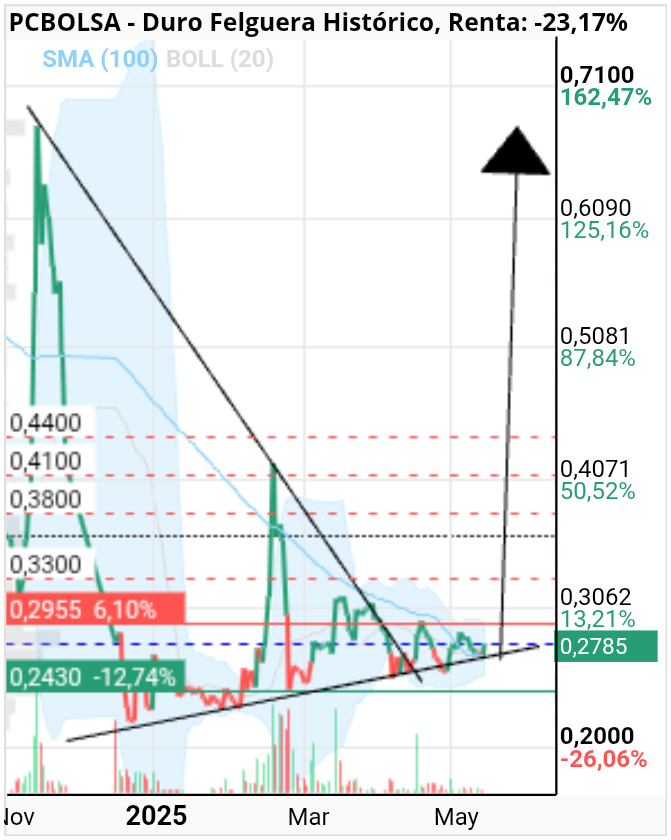 grafico de la accion faemino1