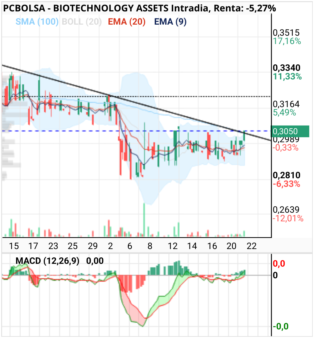 grafico de la accion BIOTECHNOLOGY ASSETS
