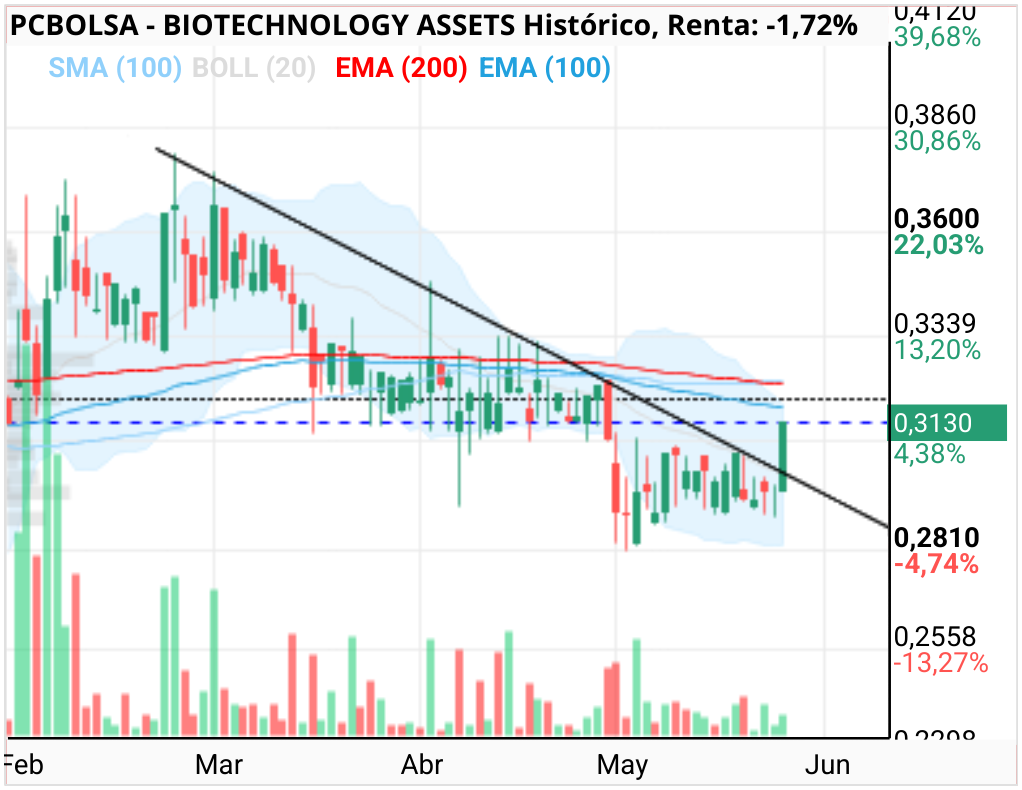 grafico de la accion BIOTECHNOLOGY ASSETS