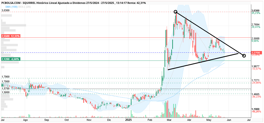 grafico de la accion Squirrel