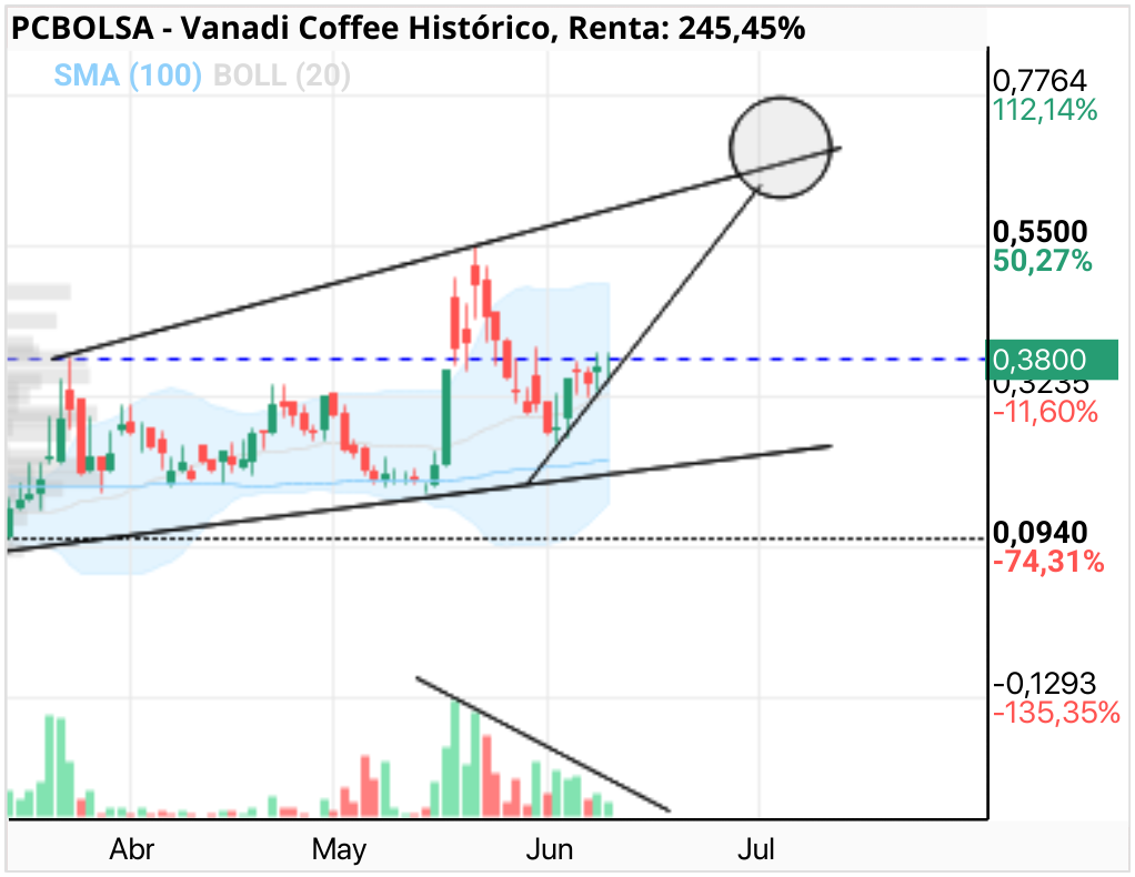 grafico de la accion Vanadi Coffee