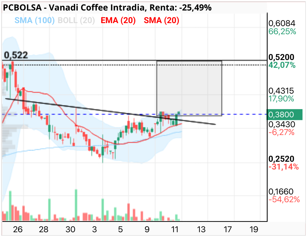 grafico de la accion Vanadi Coffee