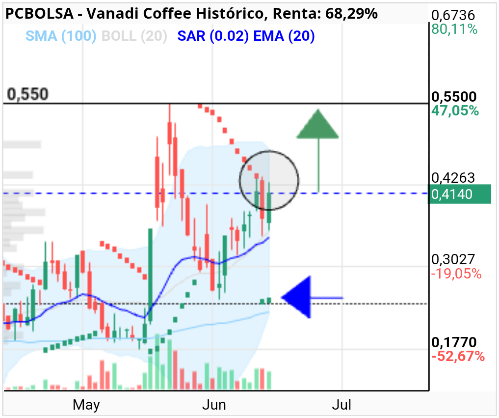 grafico de la accion Vanadi Coffee