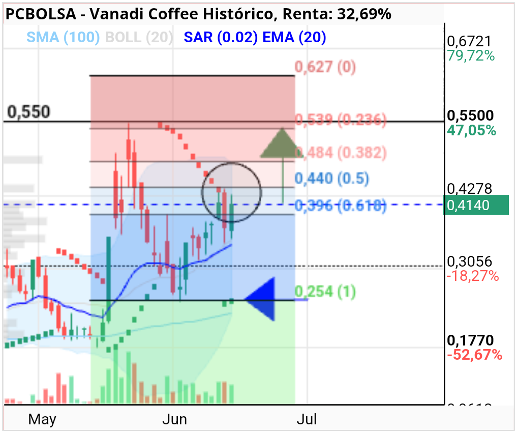 grafico de la accion Vanadi Coffee