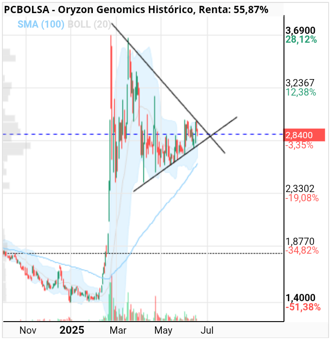 grafico de la accion julietta