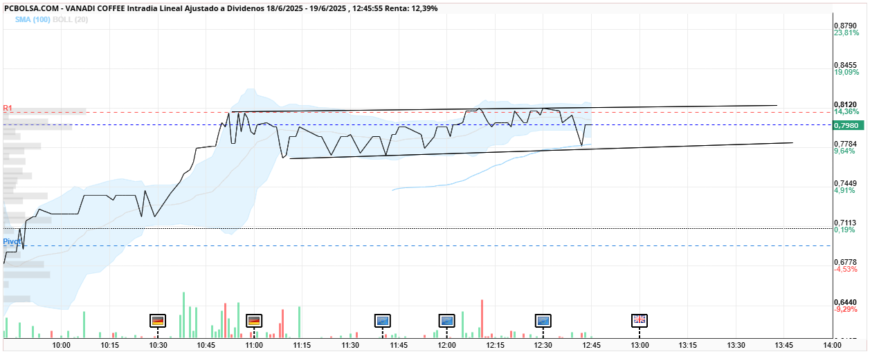 grafico de la accion Vanadi Coffee