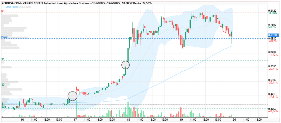 grafico de la accion Vanadi Coffee