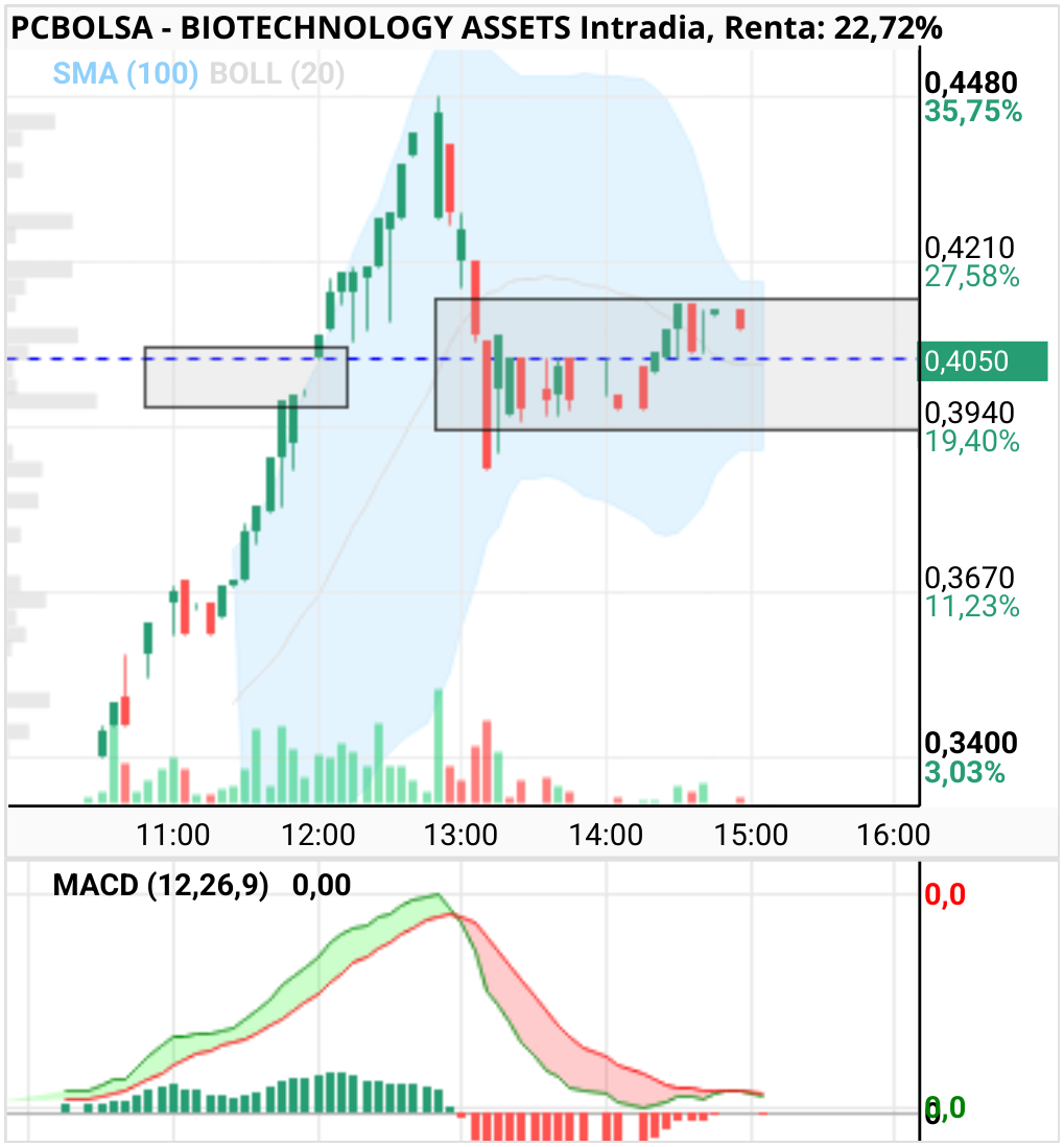 grafico de la accion BIOTECHNOLOGY ASSETS