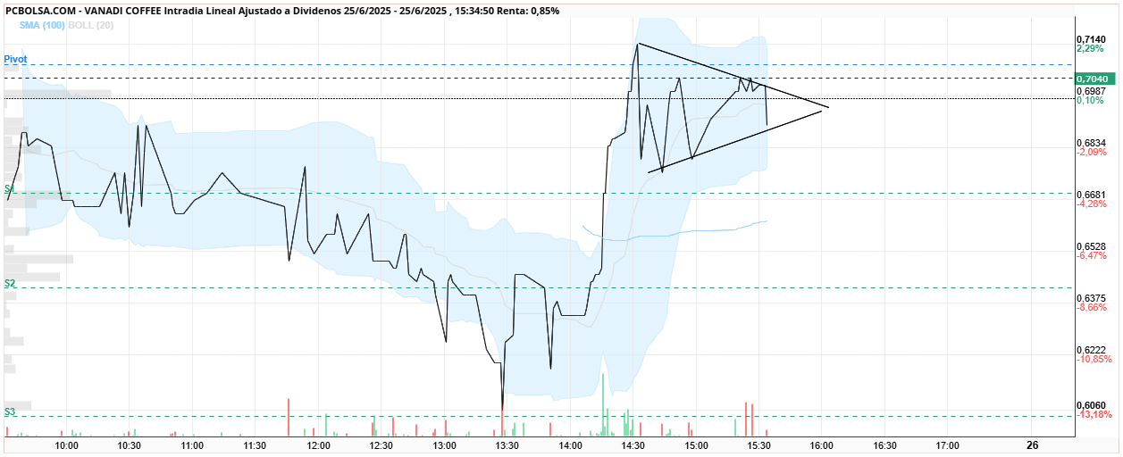 grafico de la accion Vanadi Coffee