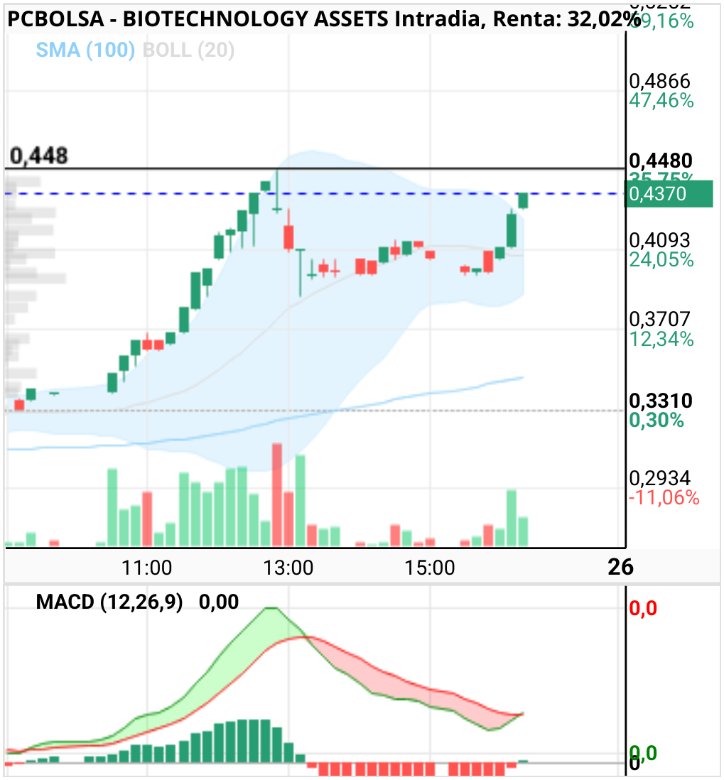grafico de la accion BIOTECHNOLOGY ASSETS