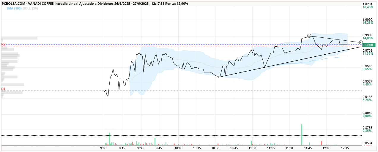 grafico de la accion Vanadi Coffee