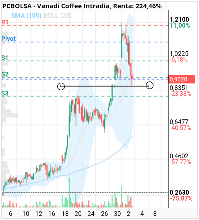 grafico de la accion dario69