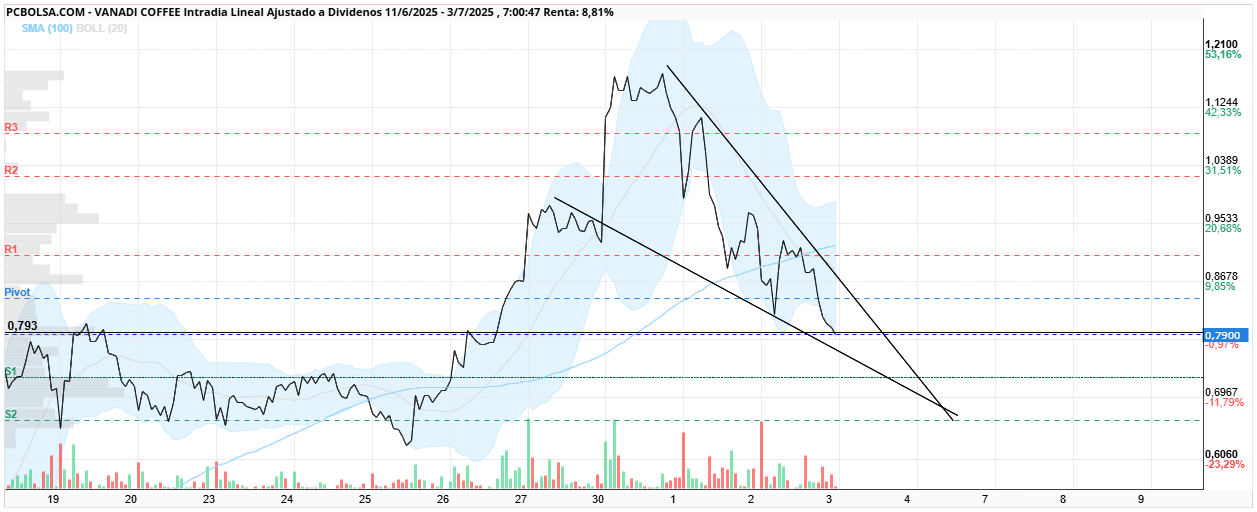 grafico de la accion Vanadi Coffee
