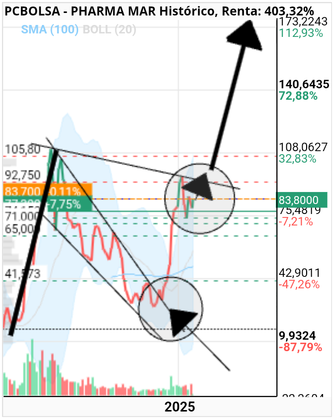 grafico de la accion Pharma Mar