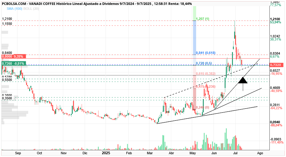 grafico de la accion Vanadi Coffee