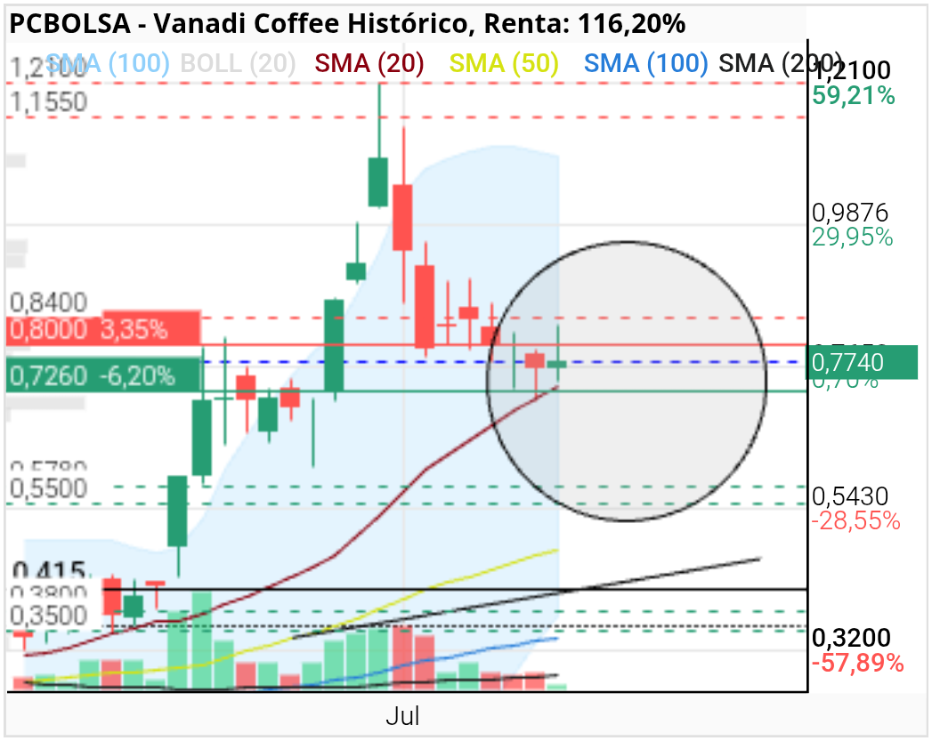 grafico de la accion Vanadi Coffee